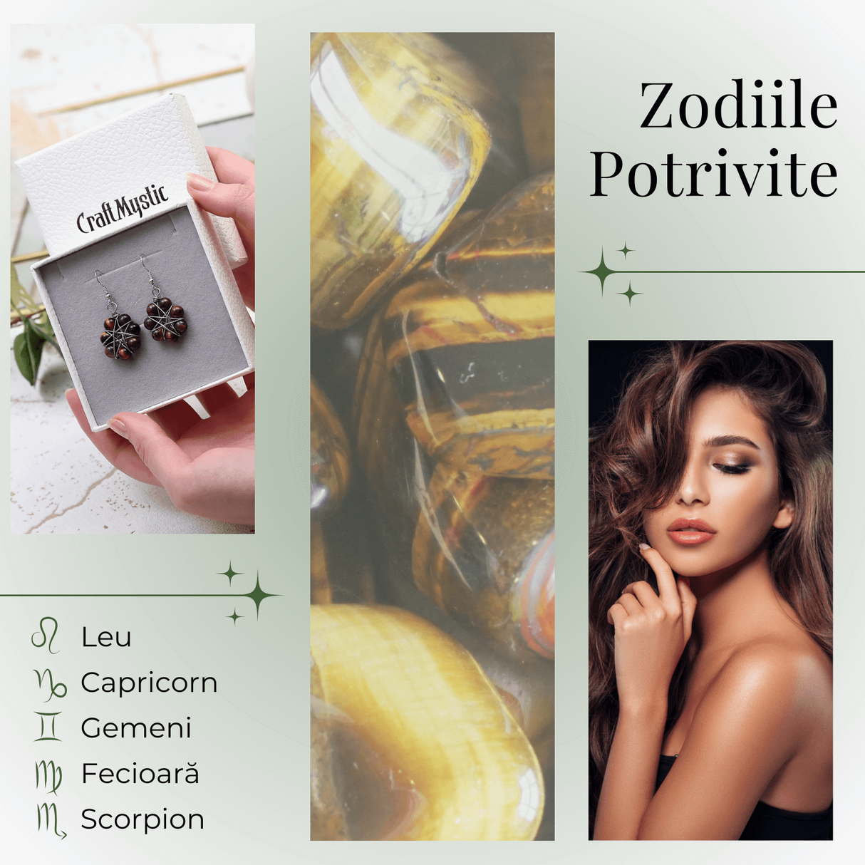 Cercei Argintii in Forma de Floare cu Ochi de Tigru