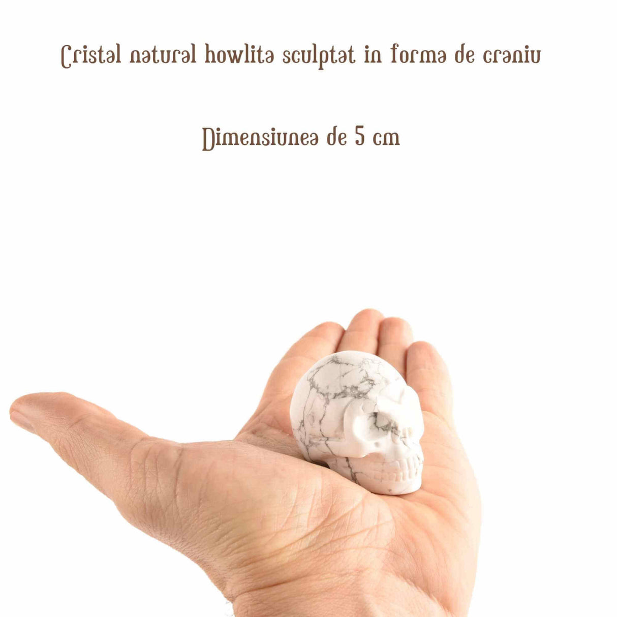 Craniu 5 cm sculptat manual din cristal de Turcoaz Alb piatra semipretioasa vindecatoare Figurina artistica pentru decor de Halloween, decoratiune pentru biroul de acasa