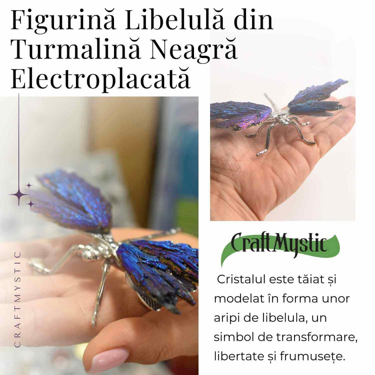 Amuleta Transformare - Libelula Turmalina Neagra Curcubeu