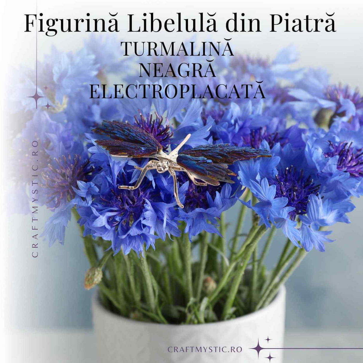 Amuleta Transformare - Libelula Turmalina Neagra Curcubeu