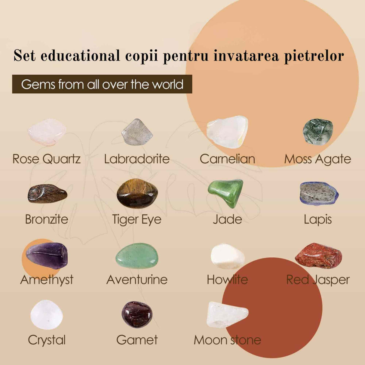 Mini set educational copii 15 pietre de colectie | Pietre specimen etichetate, educationale pentru baieti si fete