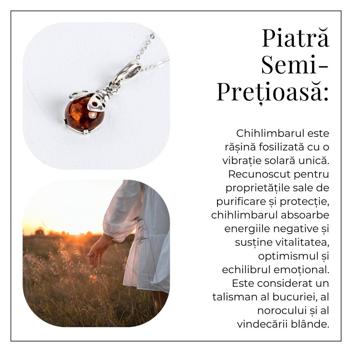 Bijuterie montura argint 925 cu vibe pozitiv – Colier Buburuza norocoasa si chihlimbar natural