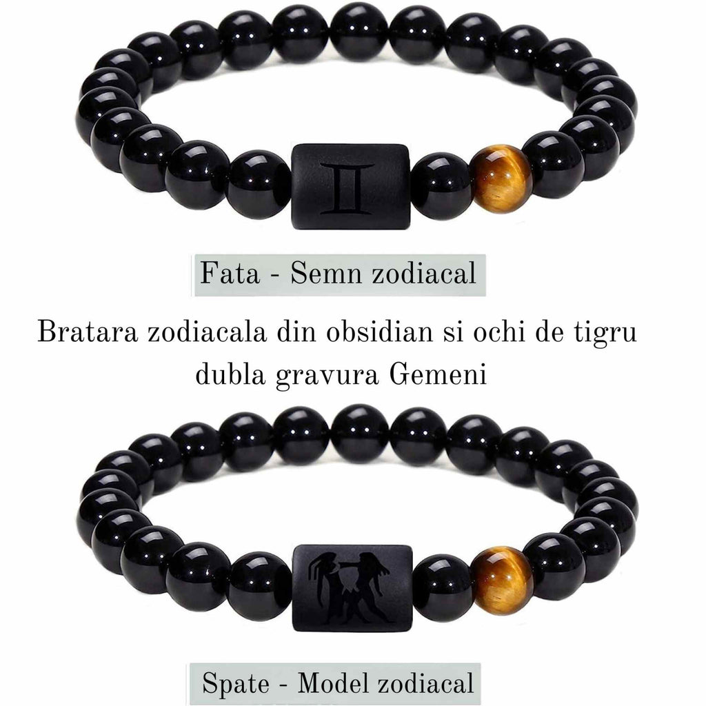ZSC16-21-Gemeni1