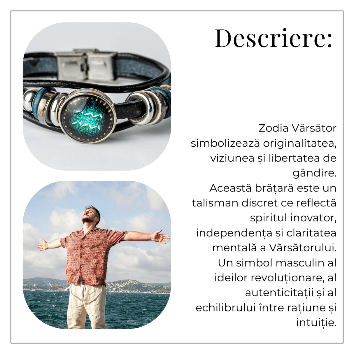 ZSC16-24-Varsator3