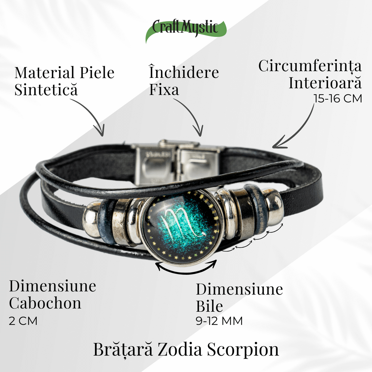 ZSC16-24-Scorpion4