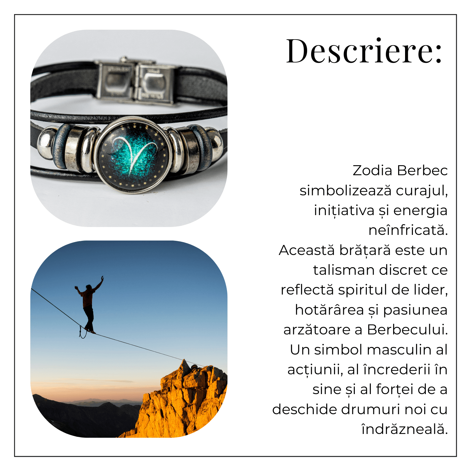 ZSC16-24-Berbec3