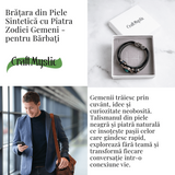 ZSC16-24-Gemeni5