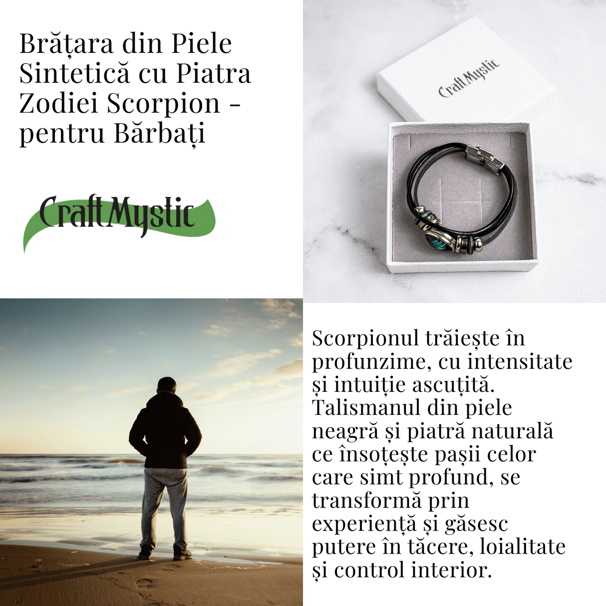 ZSC16-24-Scorpion5