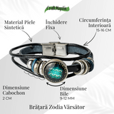 ZSC16-24-Varsator4