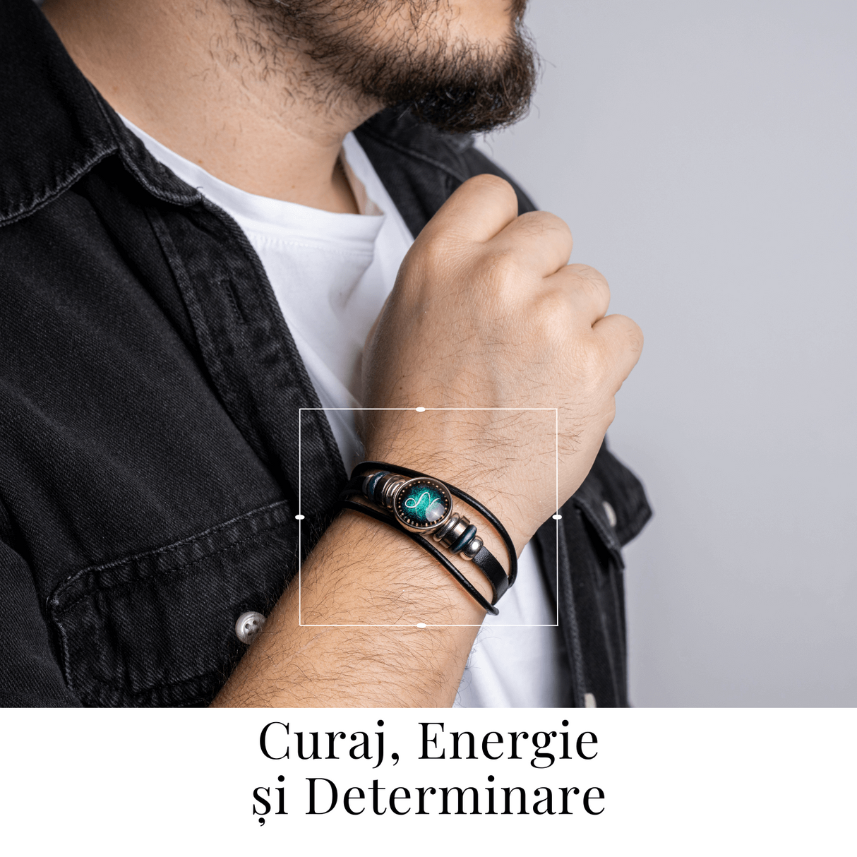 ZSC16-24-Berbec1