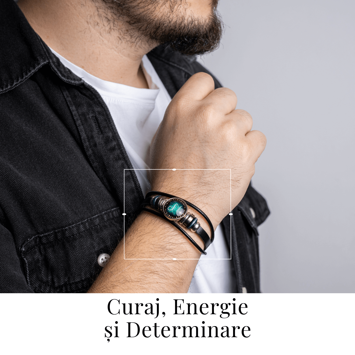 ZSC16-24-Berbec1