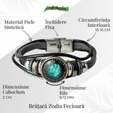 ZSC16-24-Fecioara4