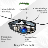 ZSC16-23-Pesti4