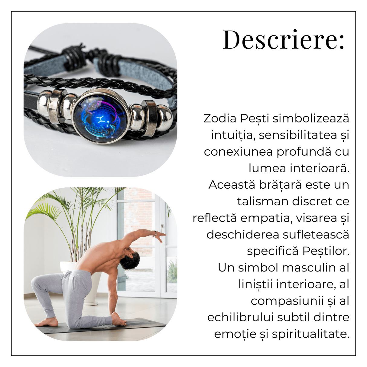 ZSC16-23-Pesti5