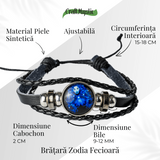 ZSC16-23-Fecioara4