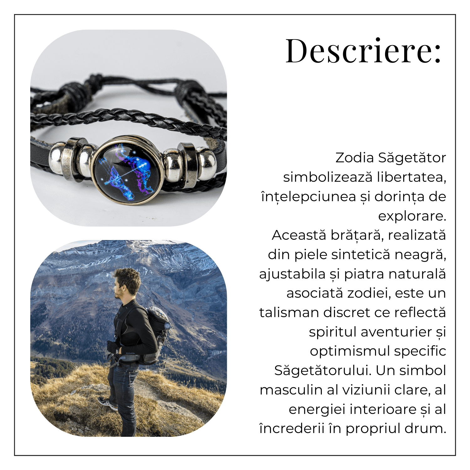 ZSC16-23-Sagetator7