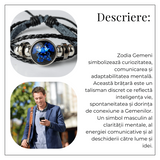 ZSC16-23-Gemeni5