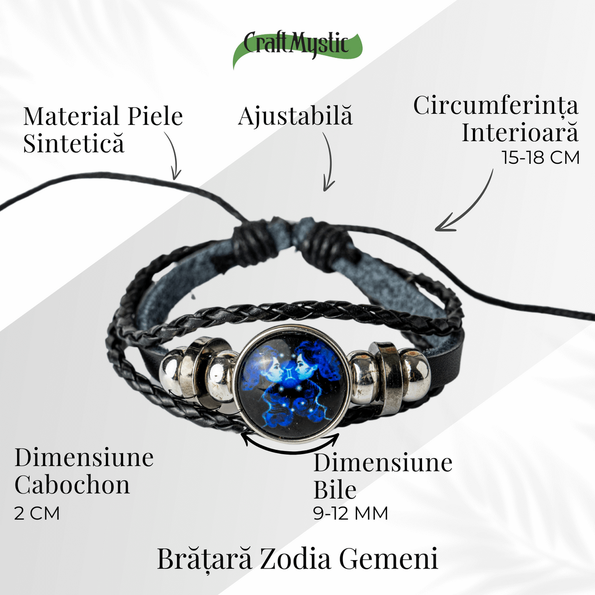ZSC16-23-Gemeni4