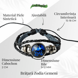 ZSC16-23-Gemeni4