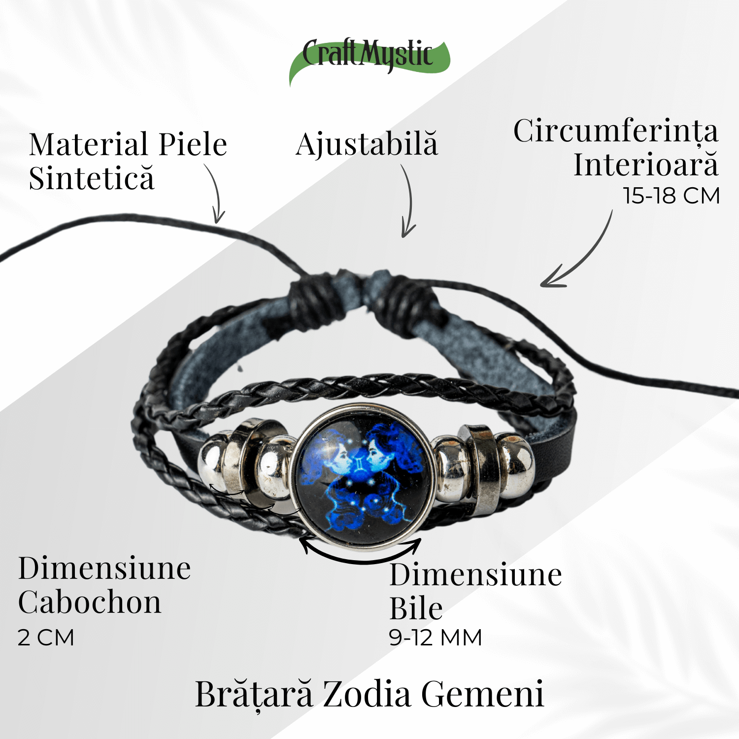 ZSC16-23-Gemeni4