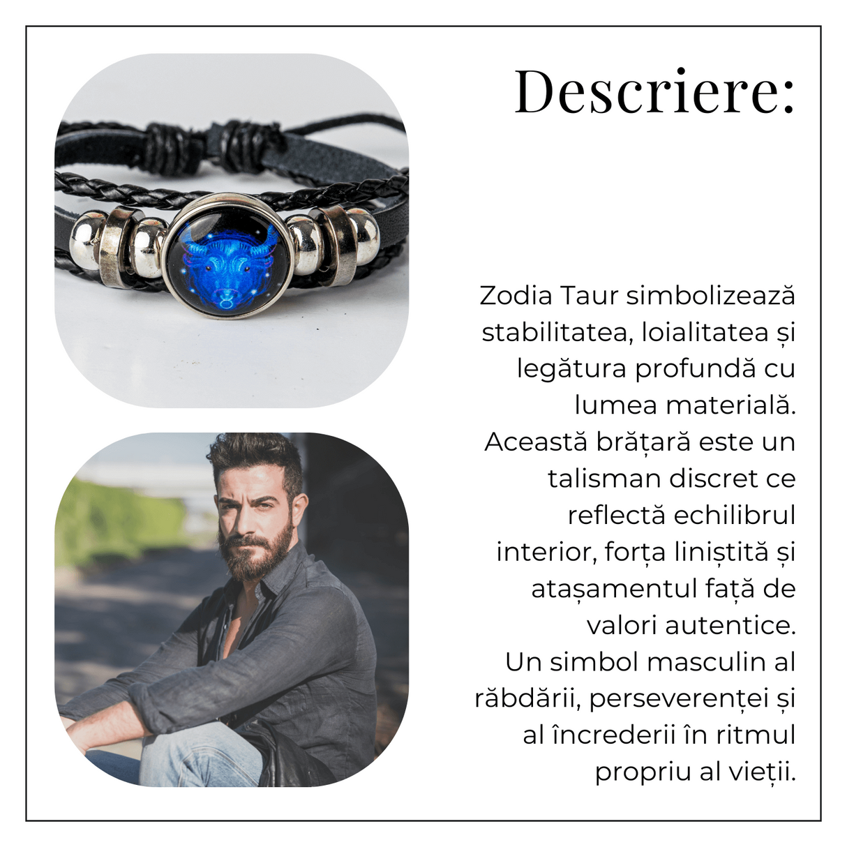 ZSC16-23-Taur4