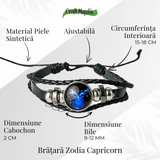 ZSC16-23-Capricorn3