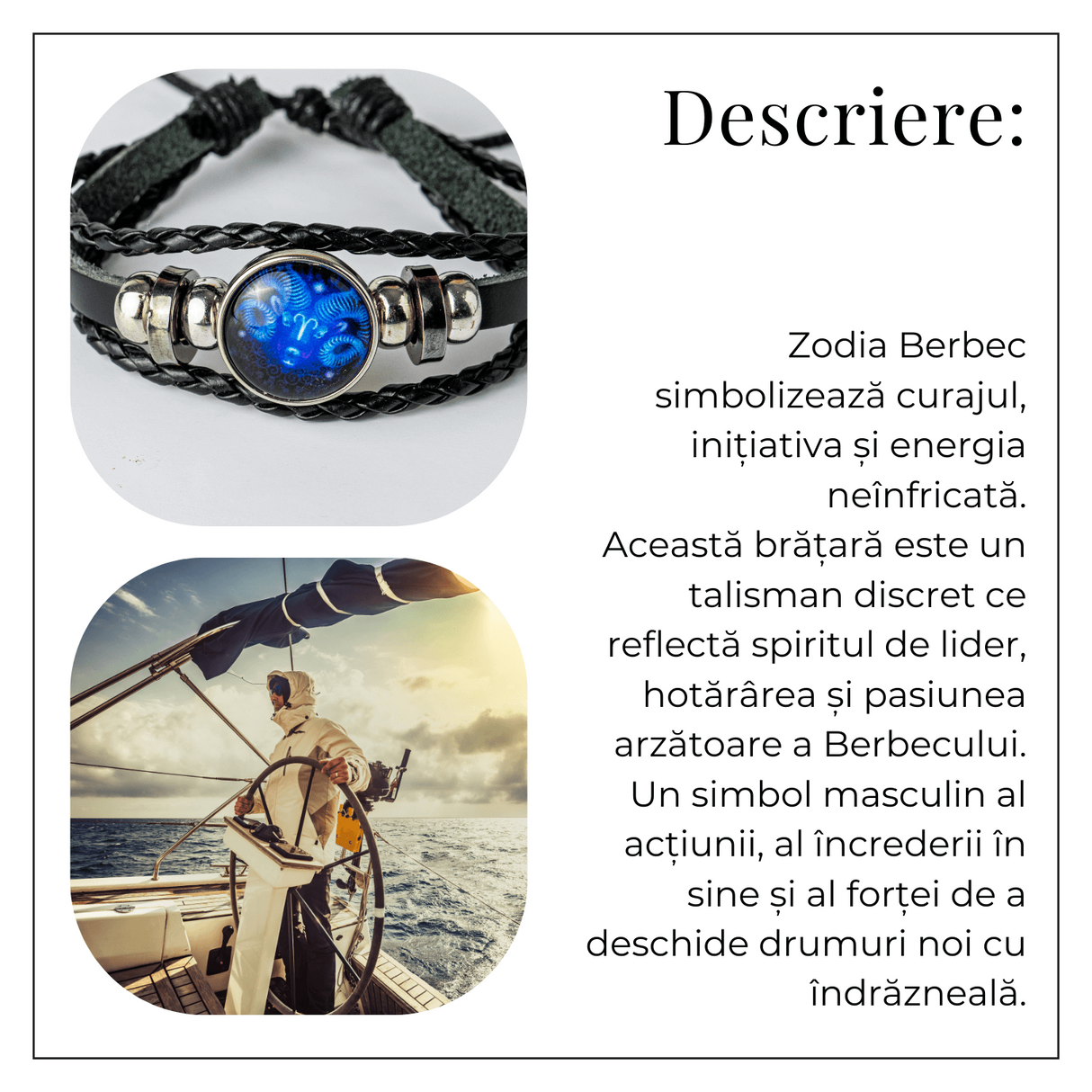 ZSC16-23-Berbec3