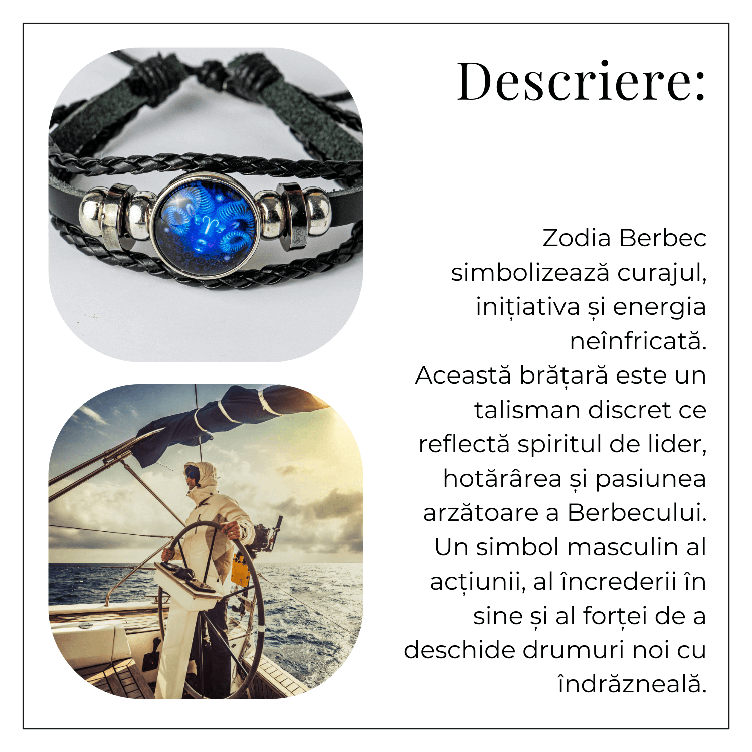 ZSC16-23-Berbec3