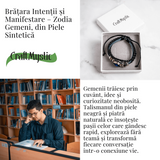 ZSC16-23-Gemeni3