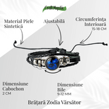ZSC16-23-Varsator4