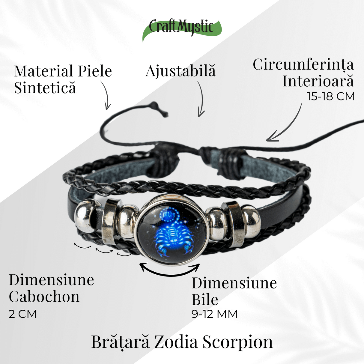 ZSC16-23-Scorpion4