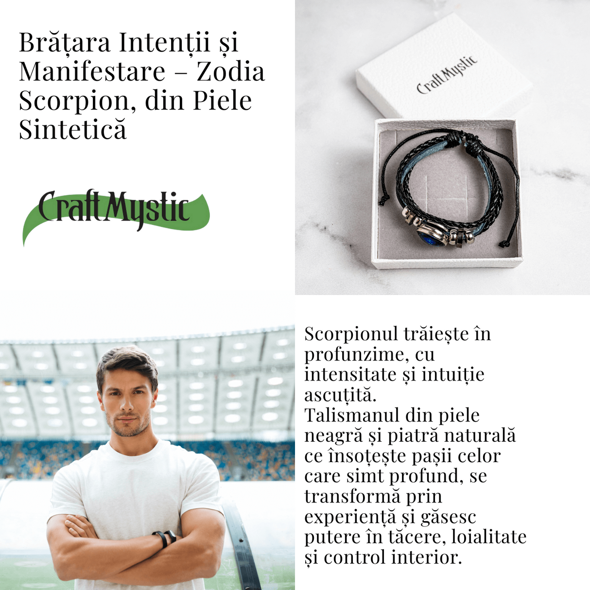 ZSC16-23-Scorpion5