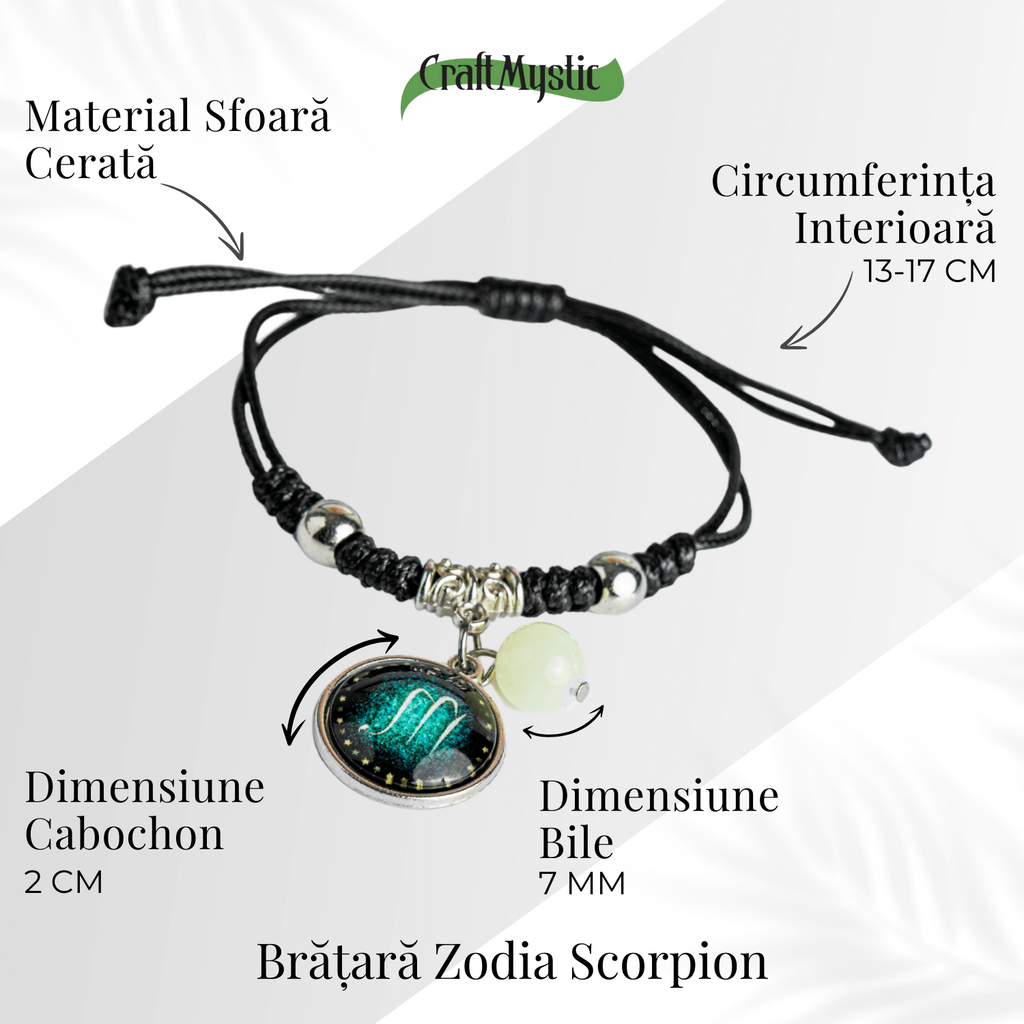 ZSC16-25-Scorpion5