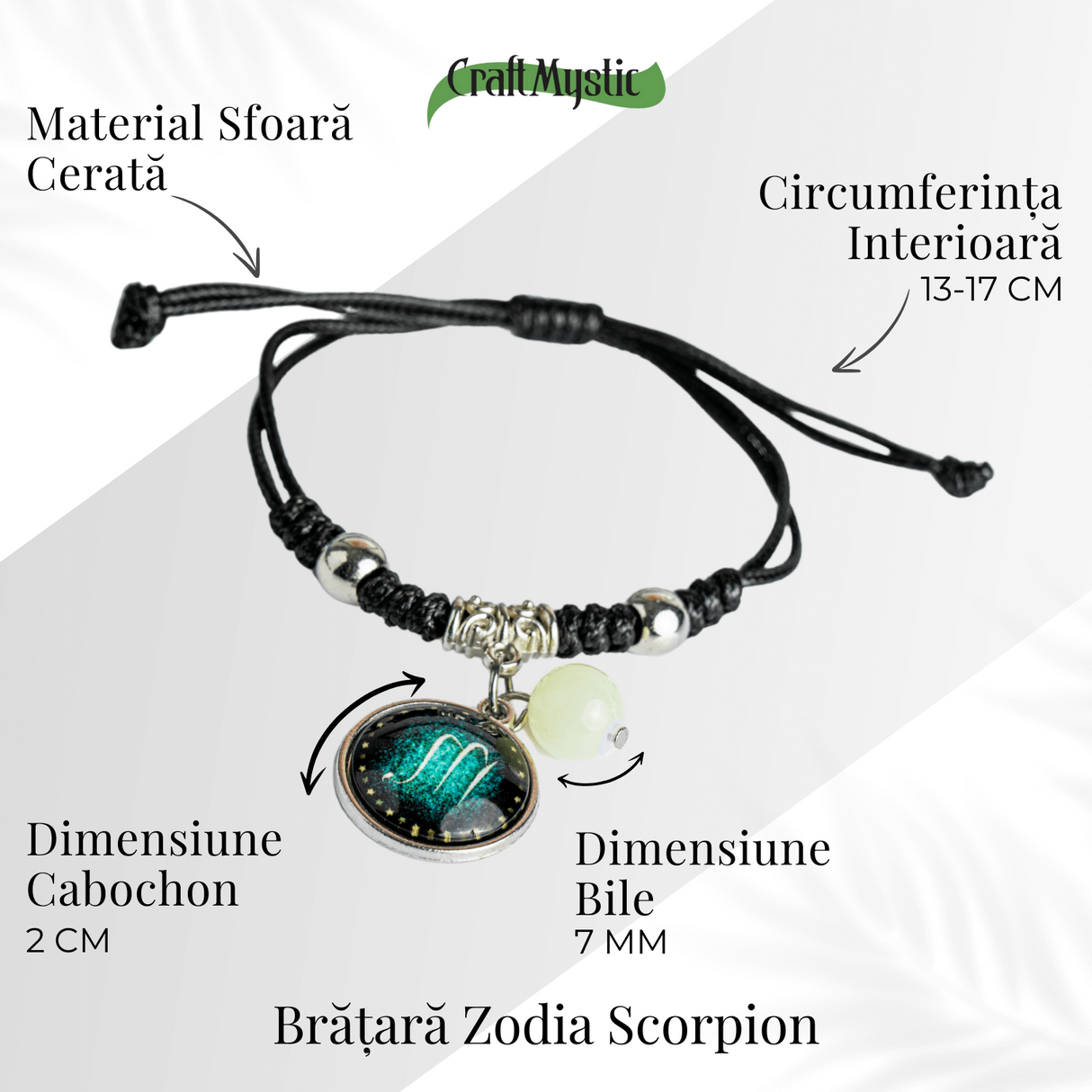 ZSC16-25-Scorpion5