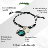 ZSC16-25-Balanta4