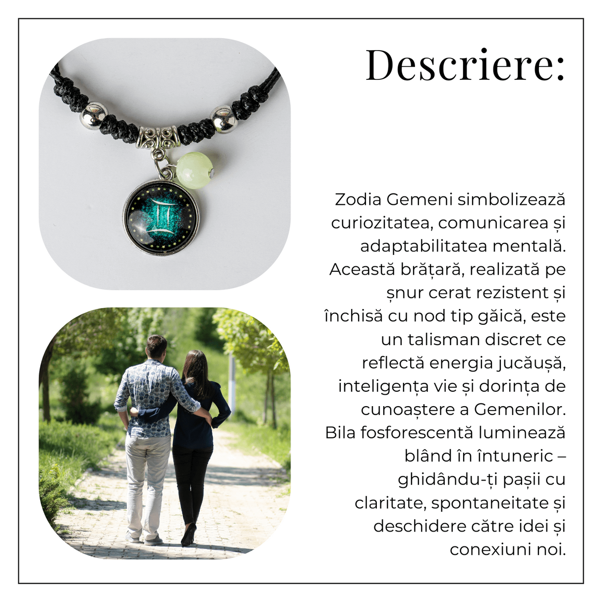 ZSC16-25-Gemeni6