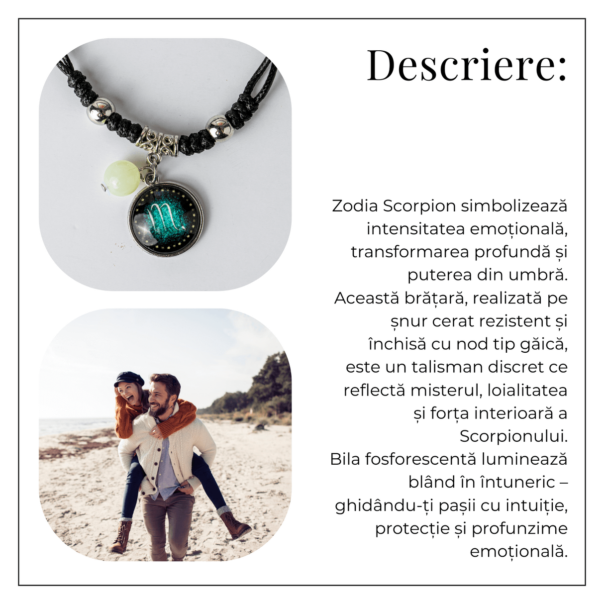 ZSC16-25-Scorpion7