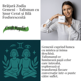 ZSC16-25-Gemeni4