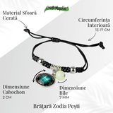 ZSC16-25-Pesti5