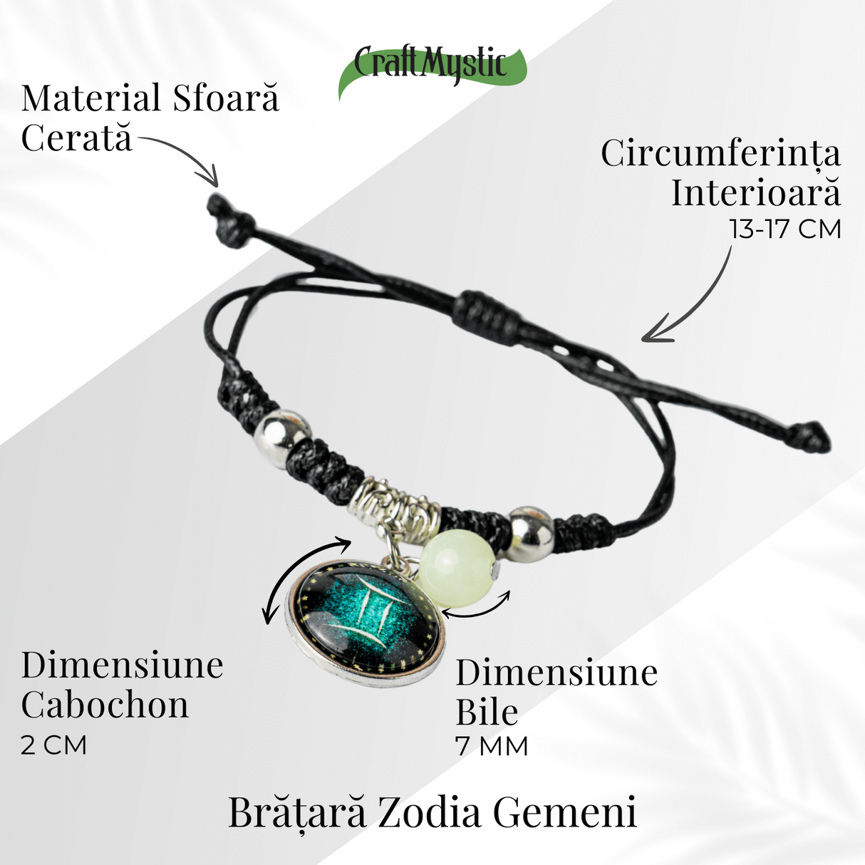 ZSC16-25-Gemeni5