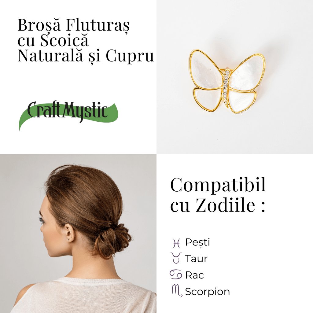 Brosa Fluturas cu Scoica Naturala si Cupru