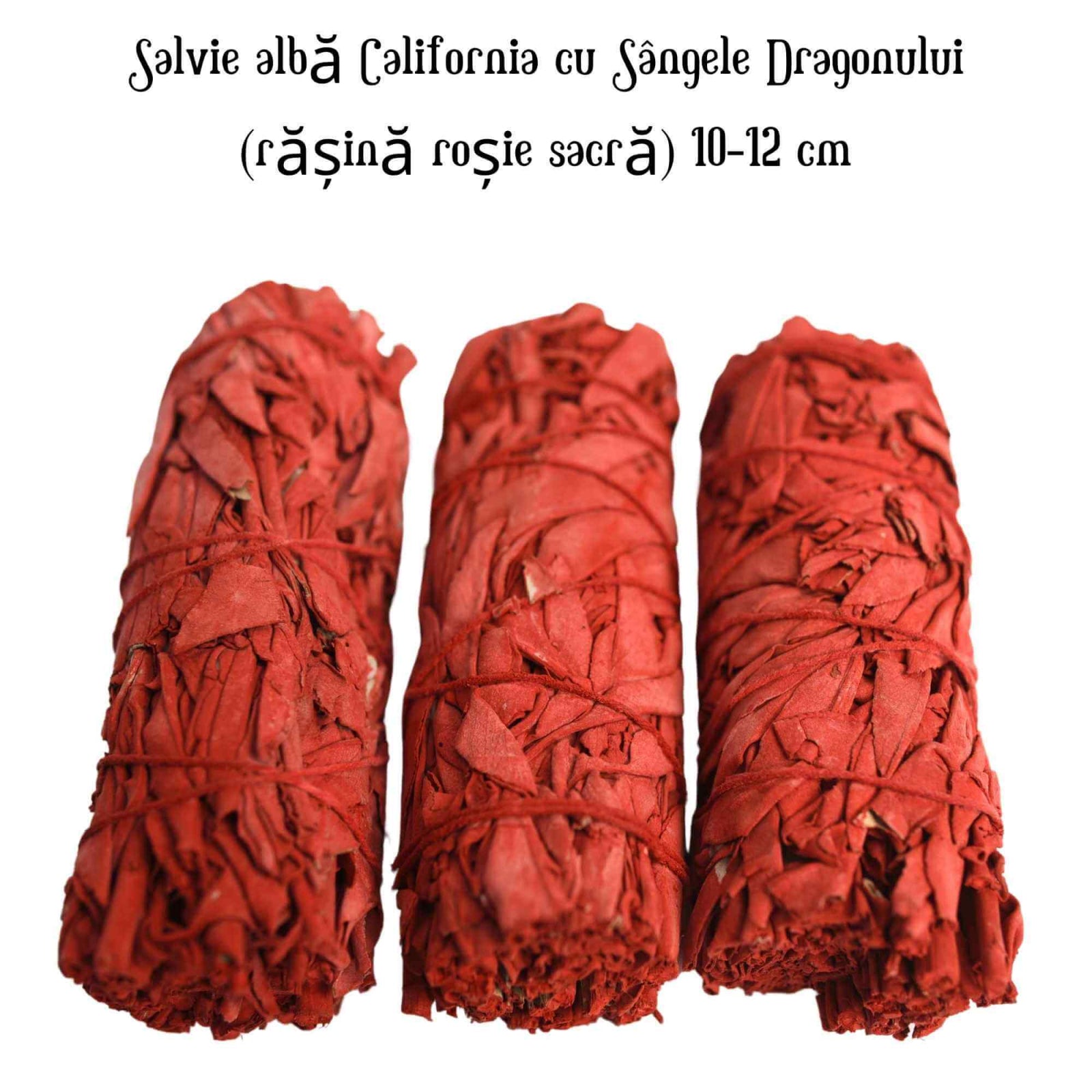 Buchet Salvie Alba California cu Sangele Dragonului