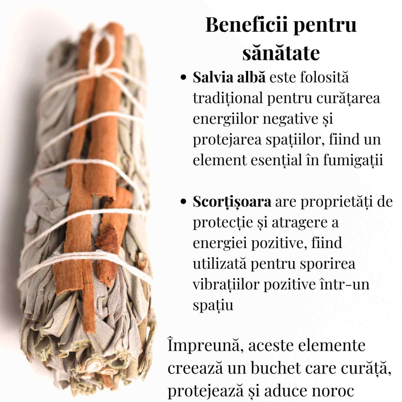 Buchet Salvie Alba California cu Scortisoara