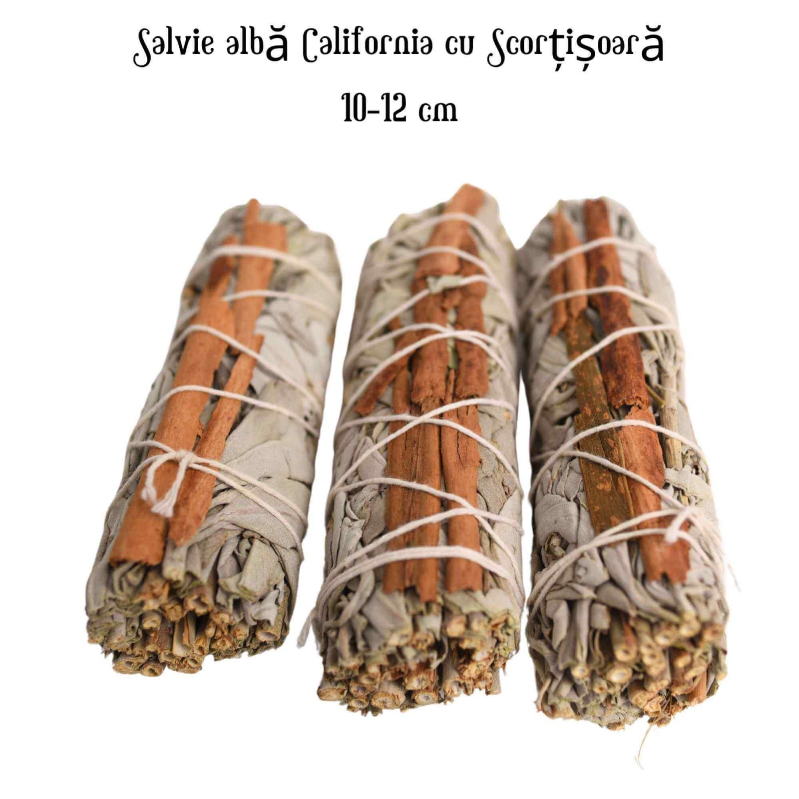 Buchet Salvie Alba California cu Scortisoara