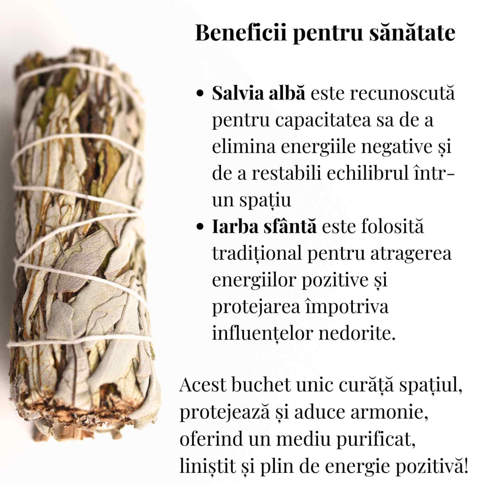 Buchet Salvie Alba California cu Iarba Sfanta