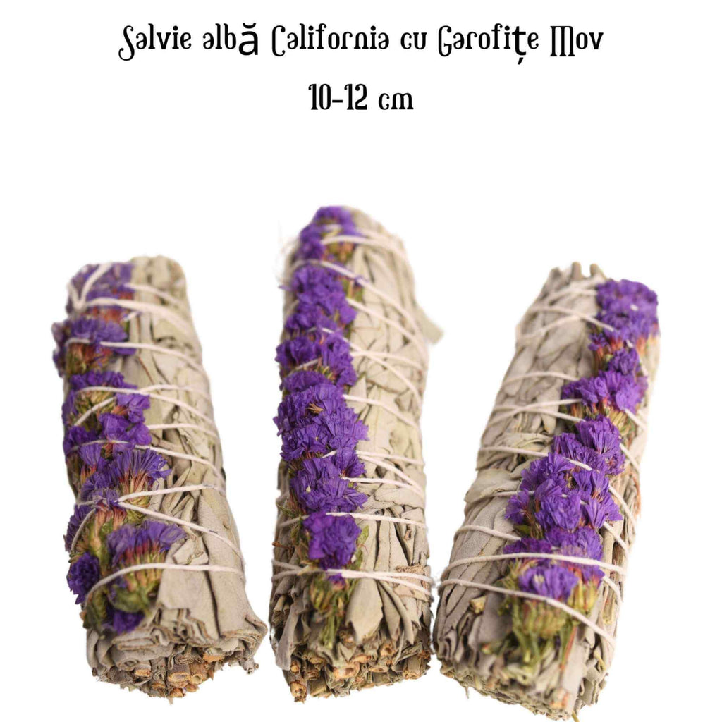 Buchet Salvie Alba California cu Grofite Mov / Sinuata