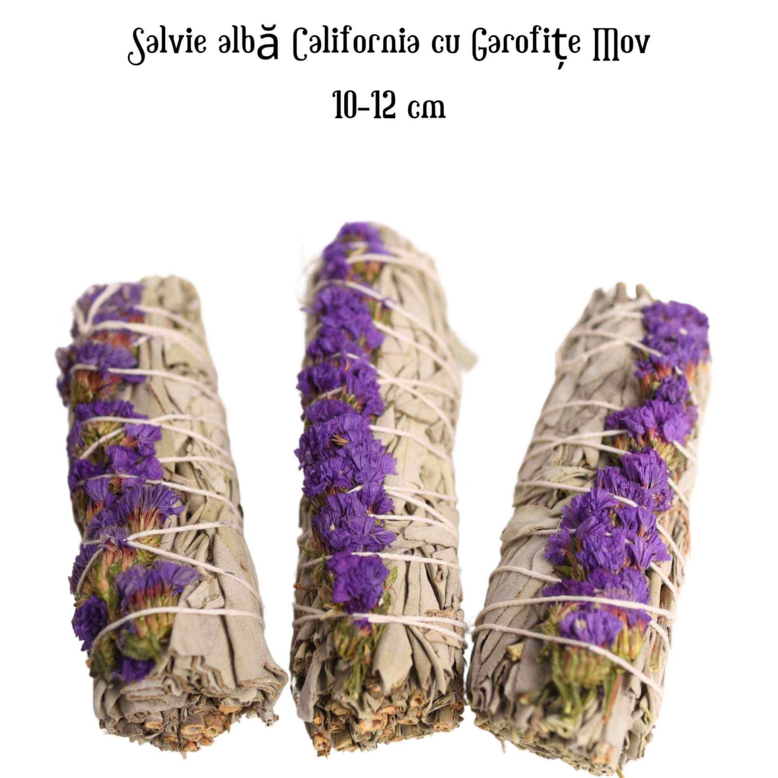 Buchet Salvie Alba California cu Grofite Mov / Sinuata