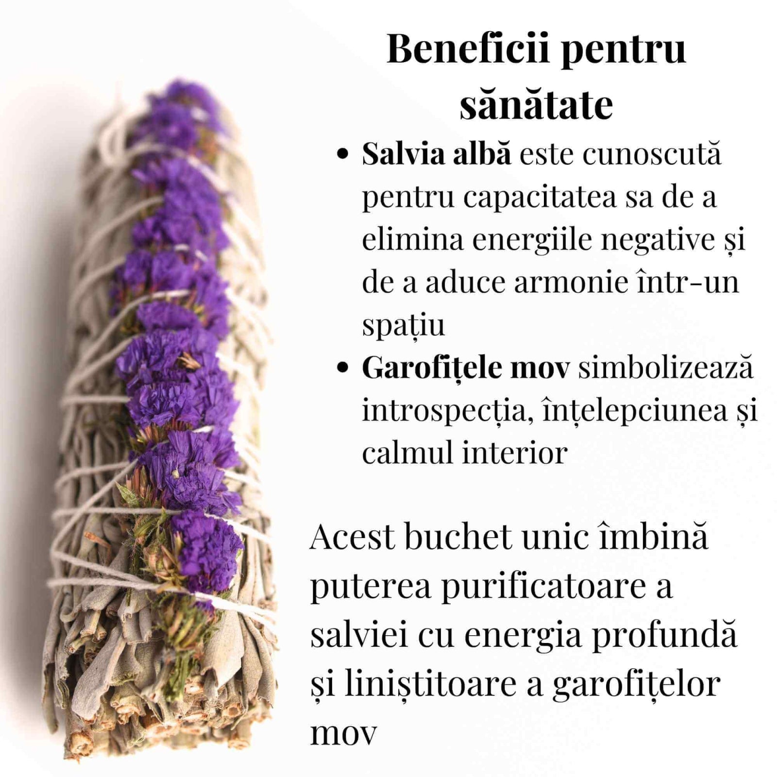 Buchet Salvie Alba California cu Grofite Mov / Sinuata