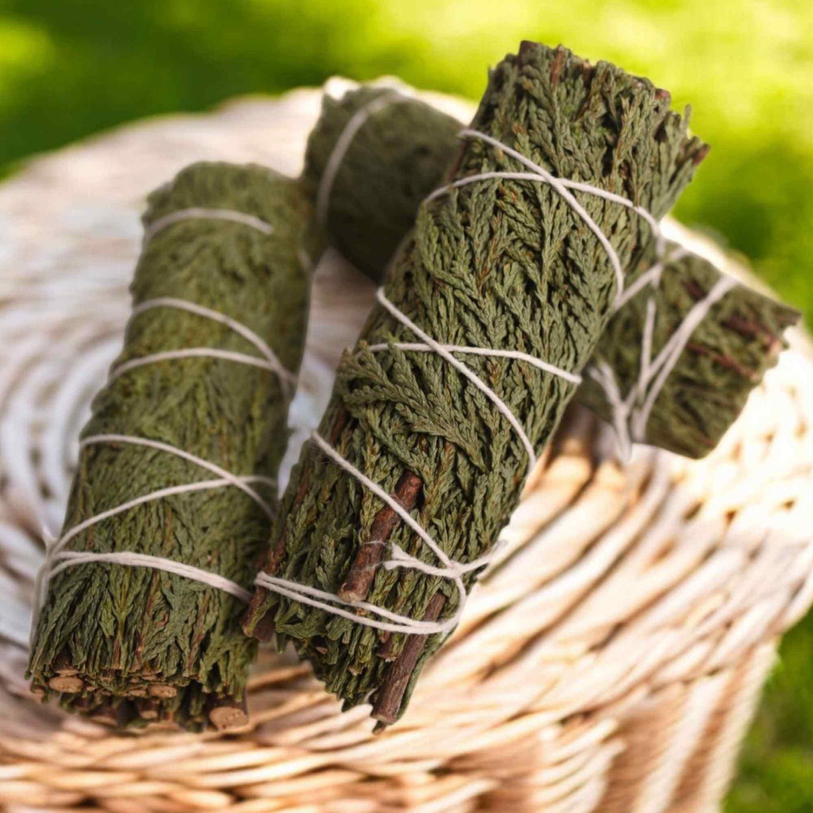 Buchet Cedru - Protectie si Purificare Energetica