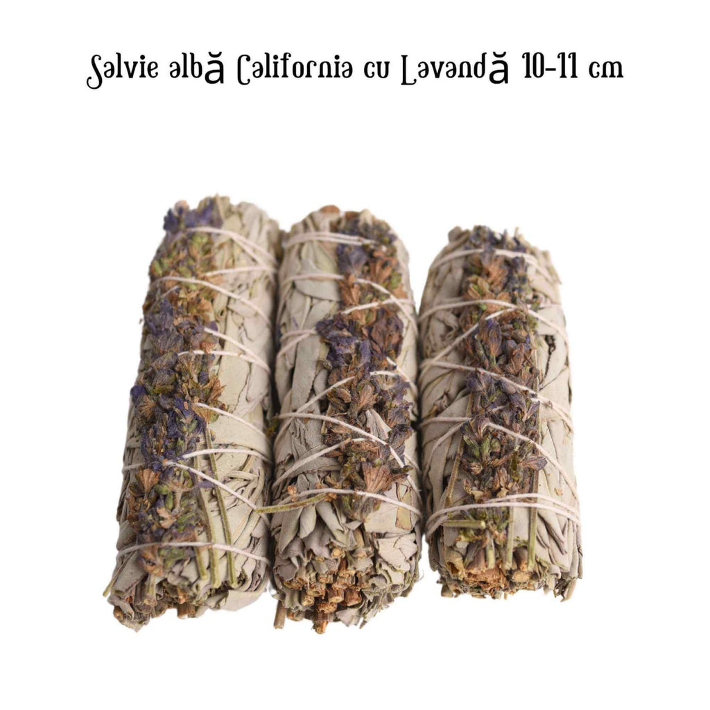 Buchet Salvie Alba California cu Lavanda 10-11 cm- Pacea si Purificarea